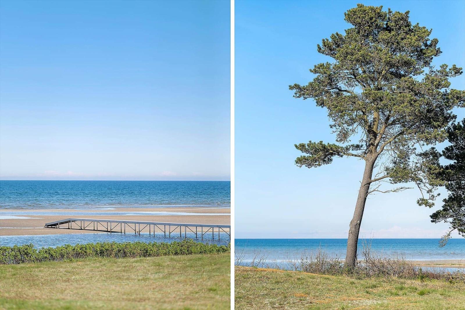 Strand mit Steg und einsamer Pinie am Meer