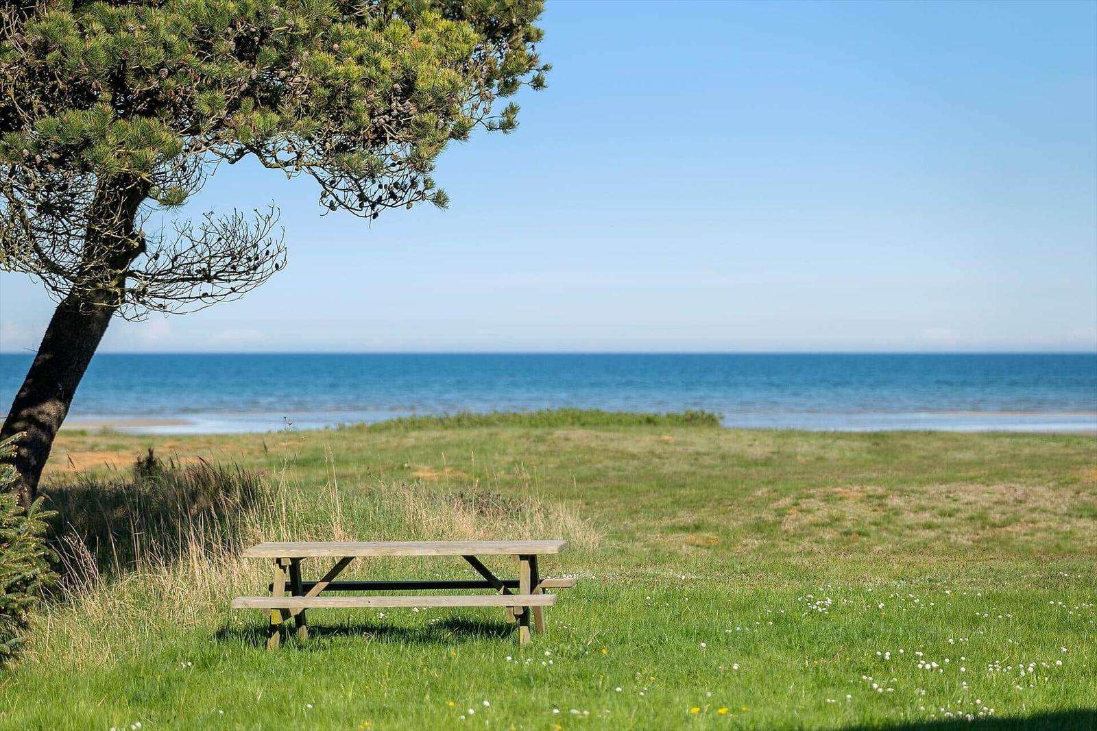Holzbank unter einem Baum am Strand mit Blick auf das Meer.