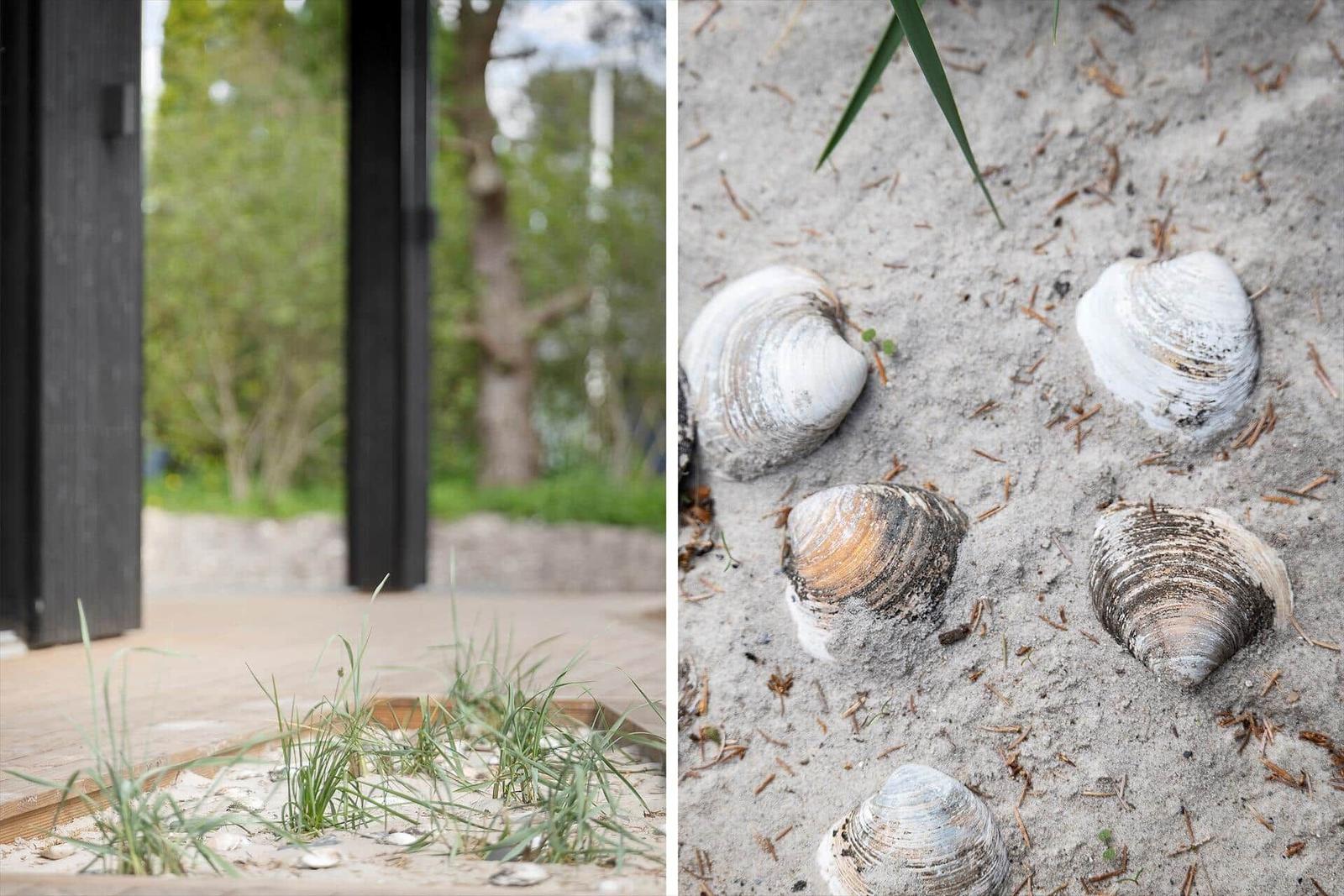 Türaussicht auf Grün und Sand mit Muscheln