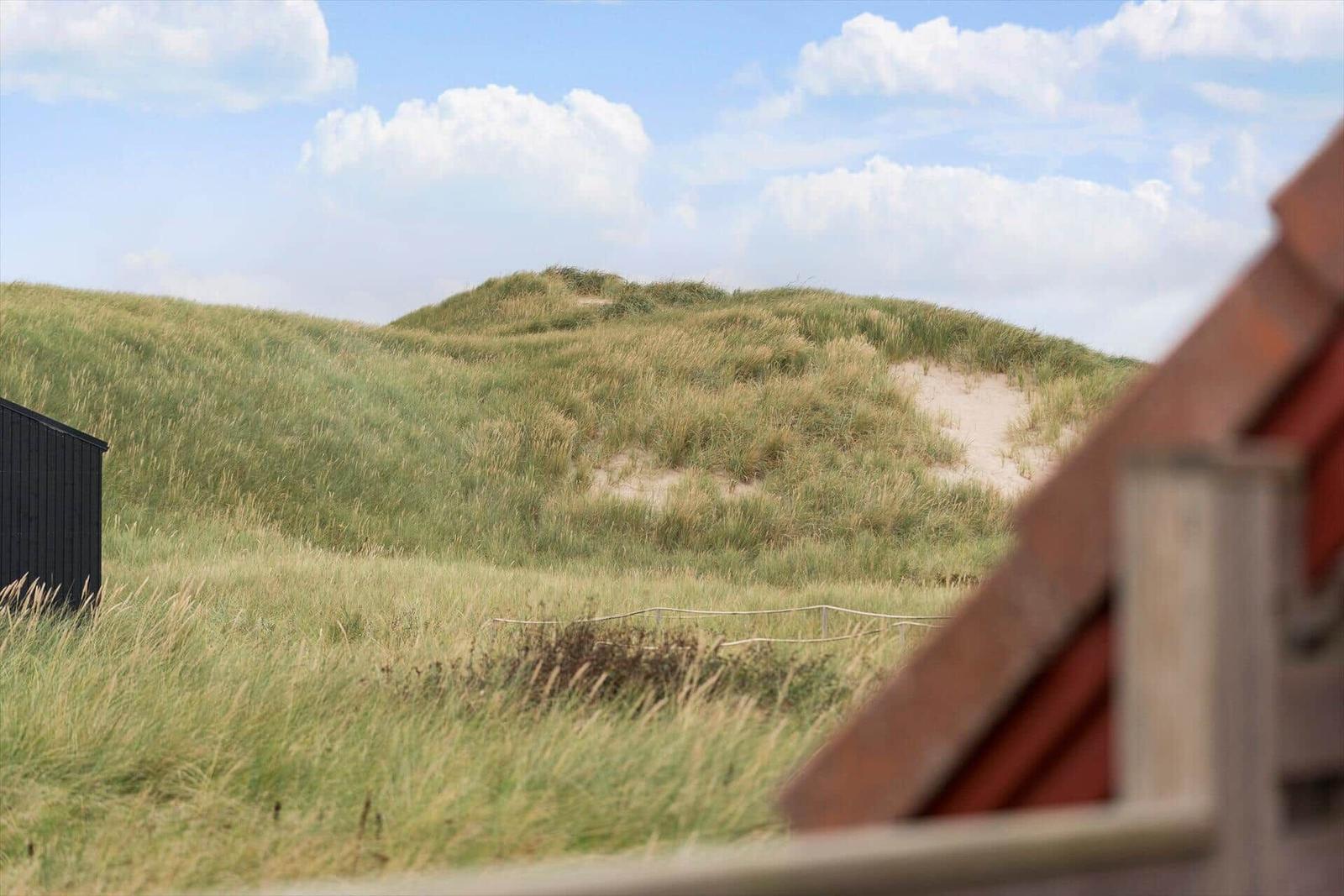Grüne Dünen unter blauem Himmel, Blick von einem Haus mit rotem Dach.
