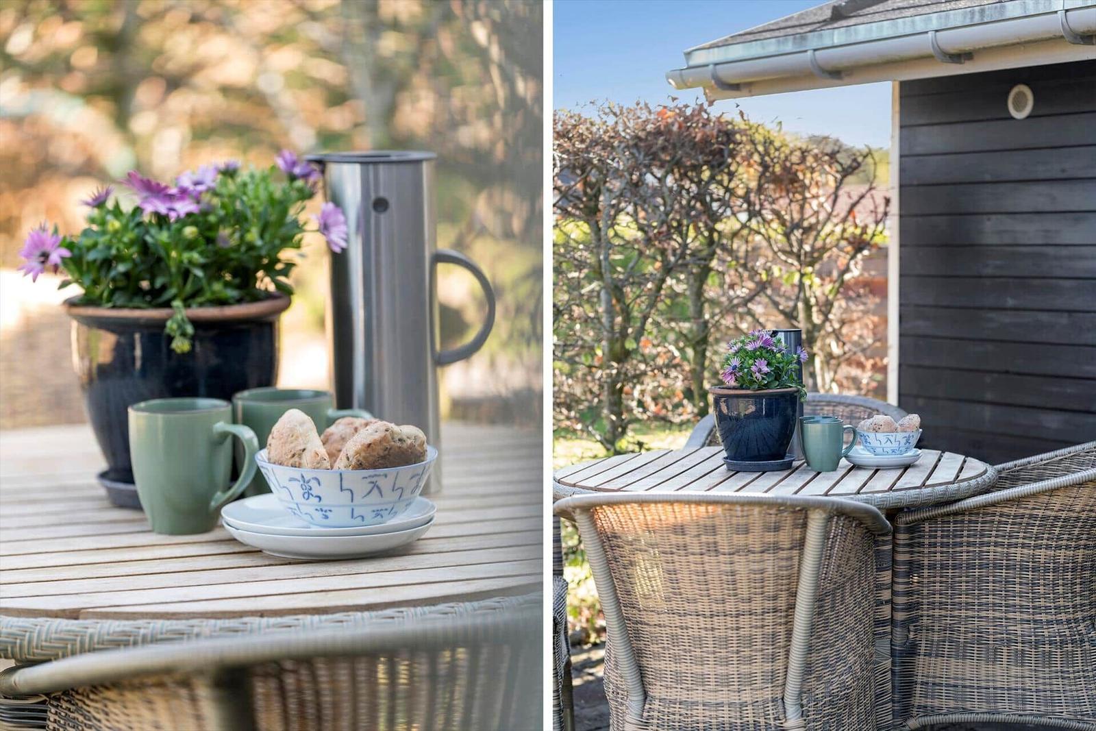 Terrace with table, chairs, plant, and drinks