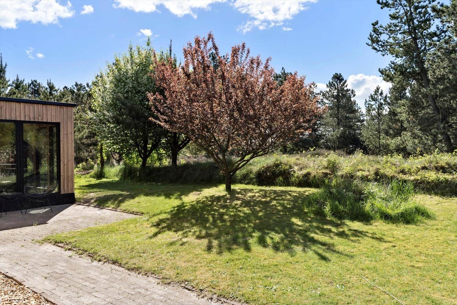 Moderne Hütte mit Terrasse, Rasen und Baum im Freien.