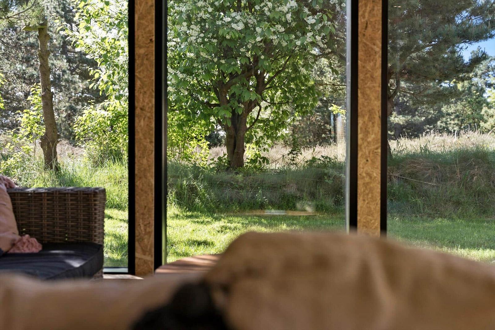 Durch große Fenster blickt man auf einen grünen Garten mit Bäumen.