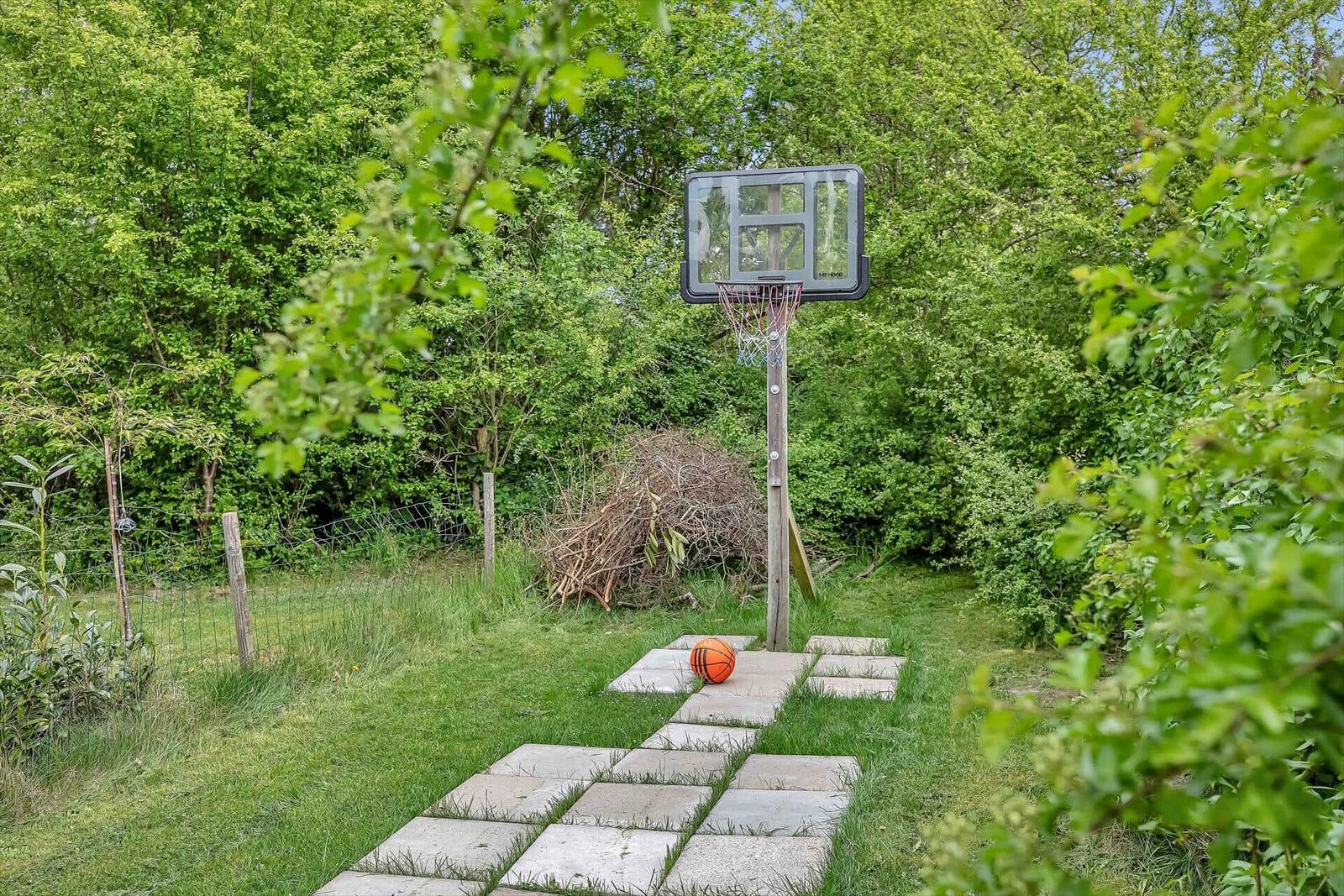 Basketballkorb im Garten mit Kletterpfad und Ball auf Steinplatten