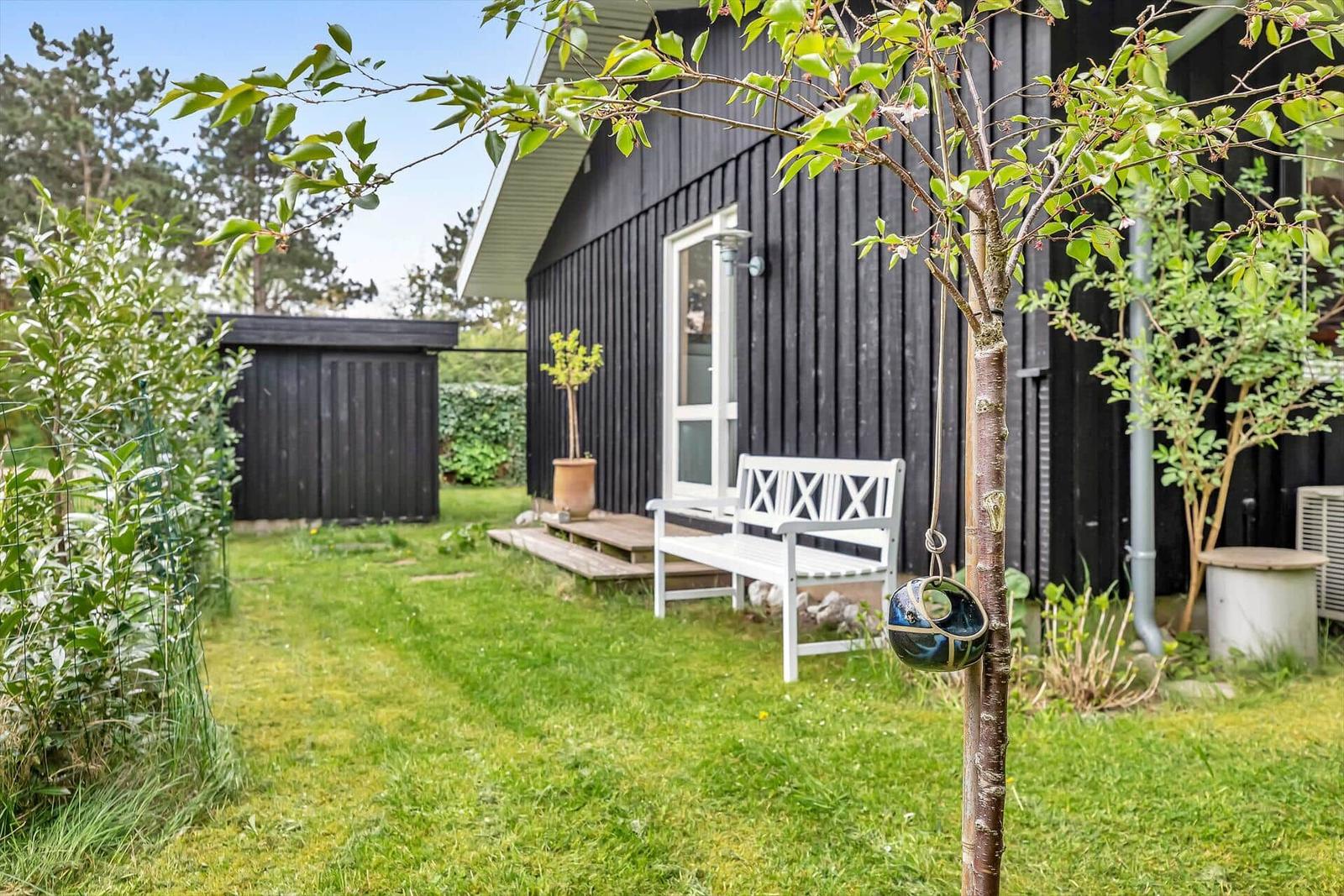 Hinterhof mit weißer Bank, Grasfläche und Baum vor schwarzem Holzhaus.