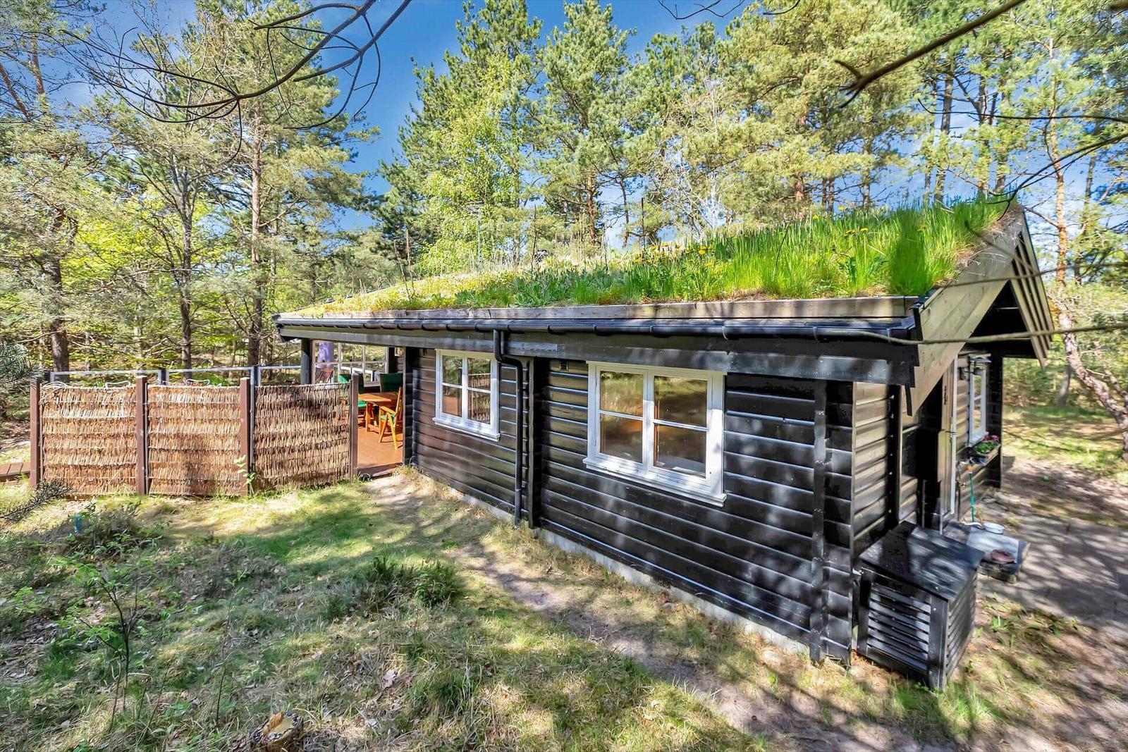 Holzhaus mit Grasdach und Garten im Wald