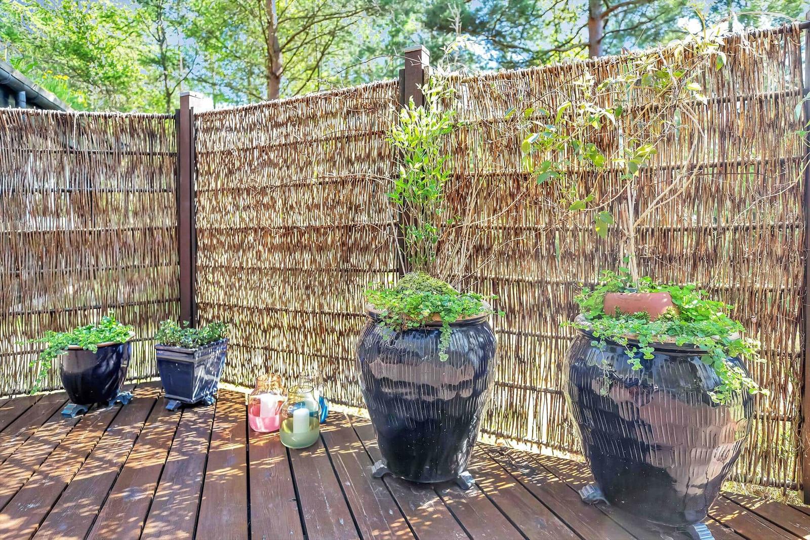 Terrasse mit Holzdielen, großen Pflanzgefäßen und Bambuszaun im Hintergrund.