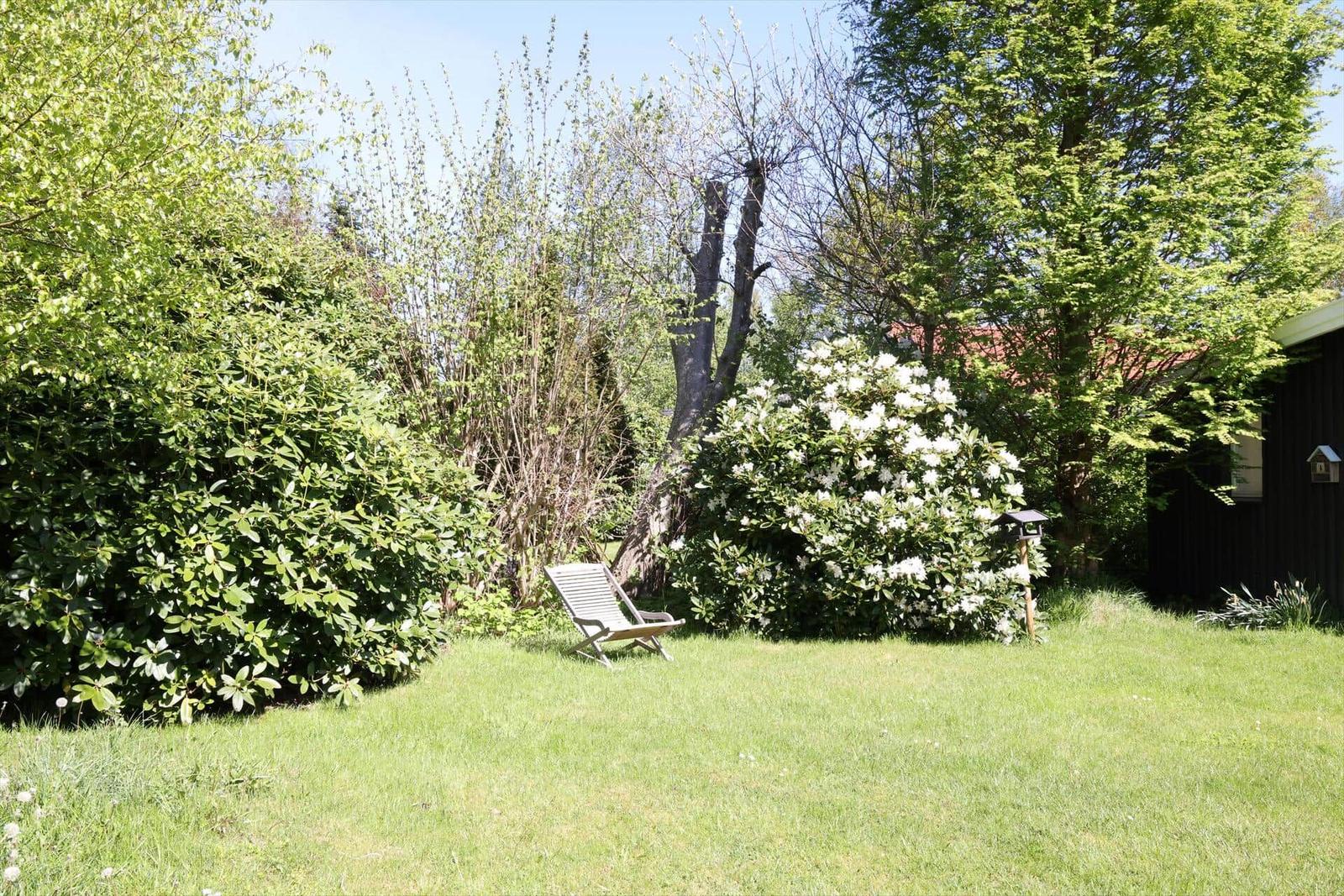 Garten mit Liegestuhl, Sträuchern und Bäumen. Hintergrund zeigt Teil eines Gebäudes.