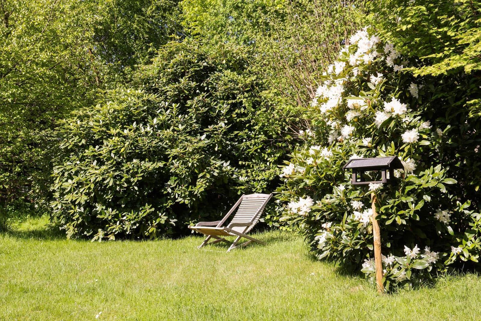 Ein Liegestuhl steht auf einer Wiese neben blühenden Sträuchern und einem Vogelhaus.