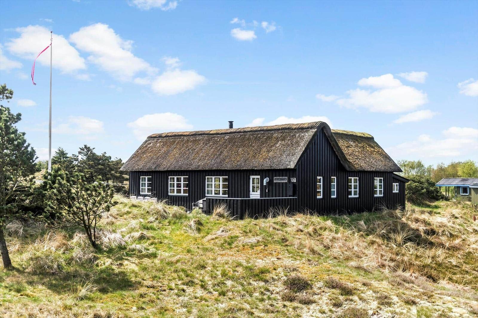 Schwarzes Holzhaus mit strohgedecktem Dach auf grüner Wiese unter blauem Himmel.