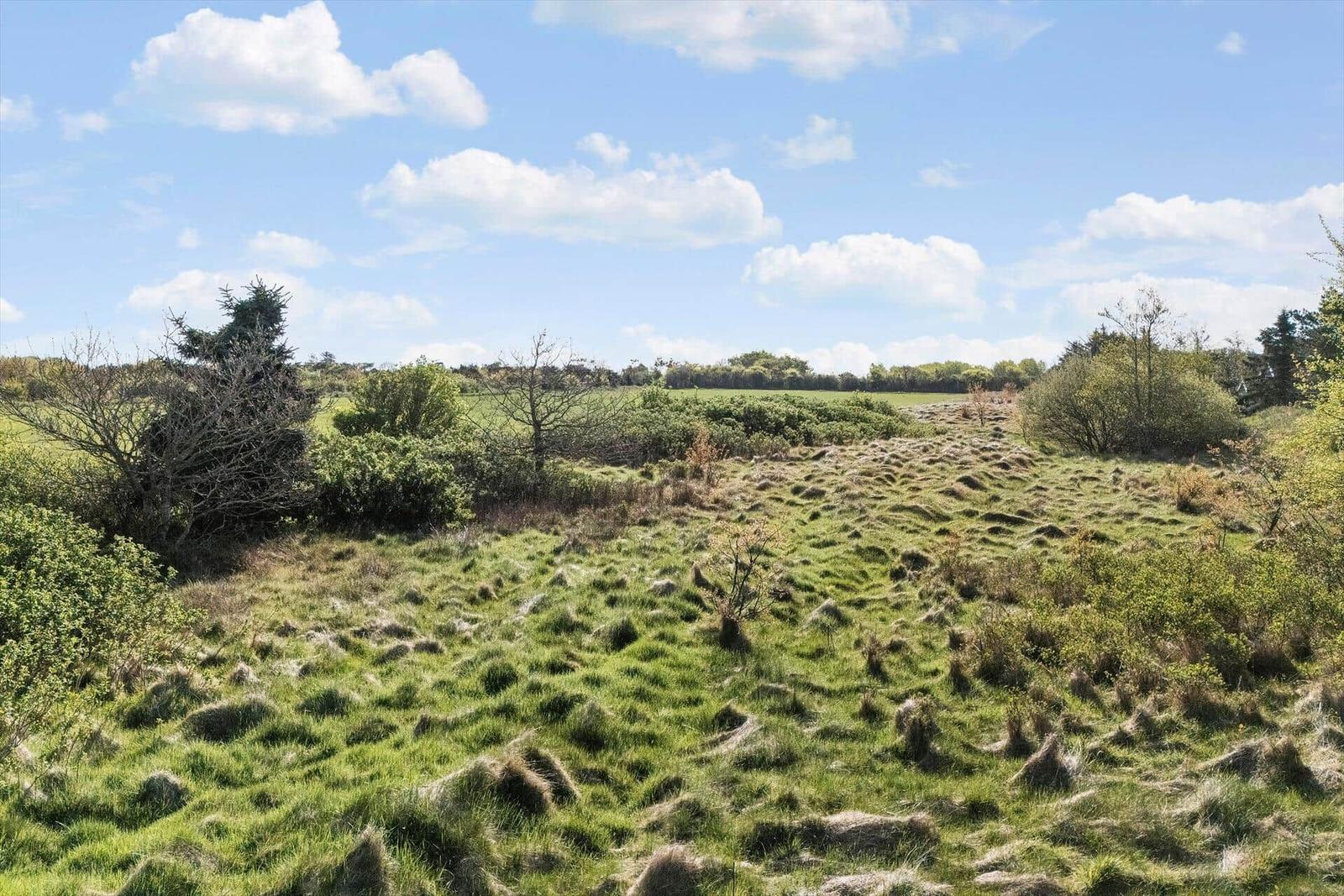 Grünes Feld mit Büschen und Bäumen unter blauem Himmel mit weißen Wolken.