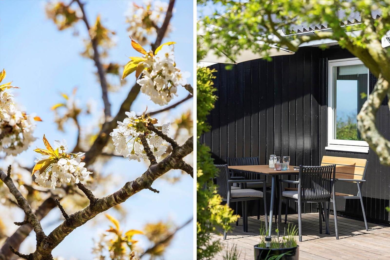 Außenbereich mit Tisch und Stühlen vor schwarzem Holzhaus. Blühende Kirschzweige im Hintergrund.