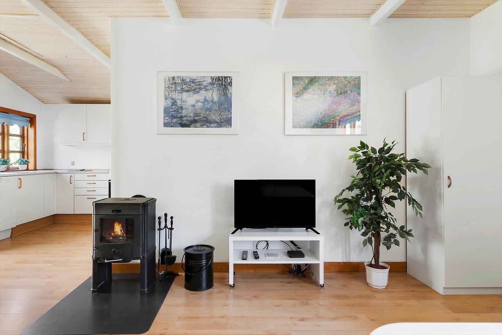 Wohnraum mit Kamin, Fernseher und Pflanze. Küche im Hintergrund.