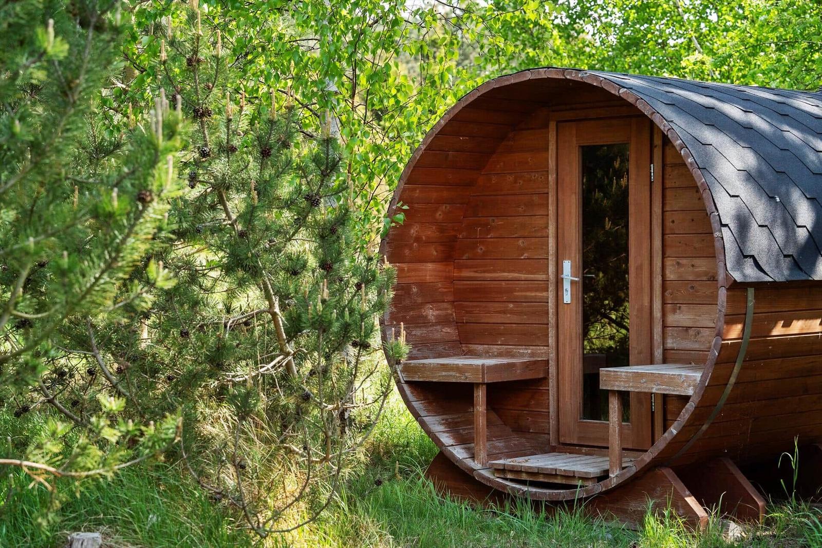 Holzsauna im Wald mit Tür und Bänken