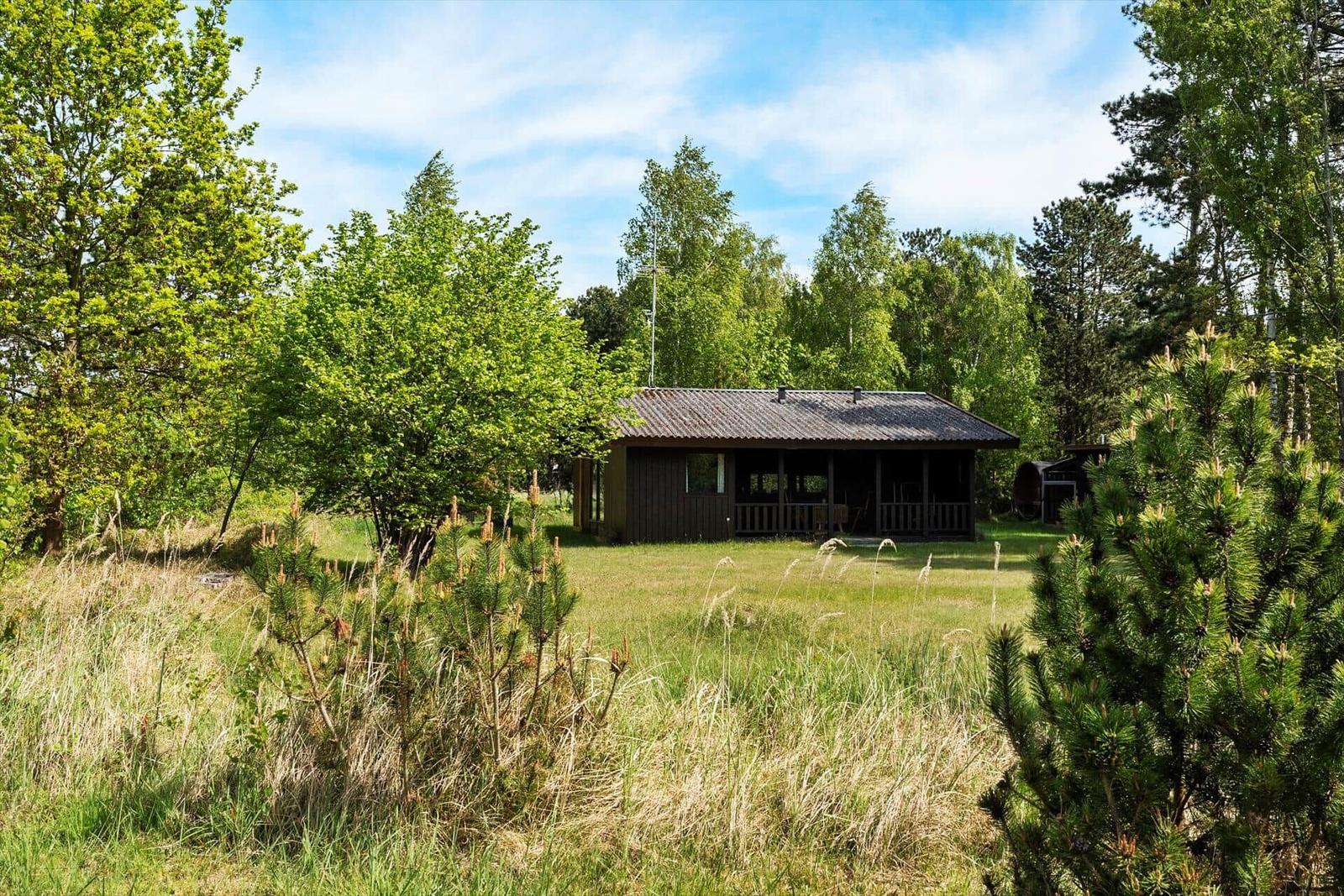 Holzhütte mit Veranda im Wald, umgeben von Gras und Bäumen.