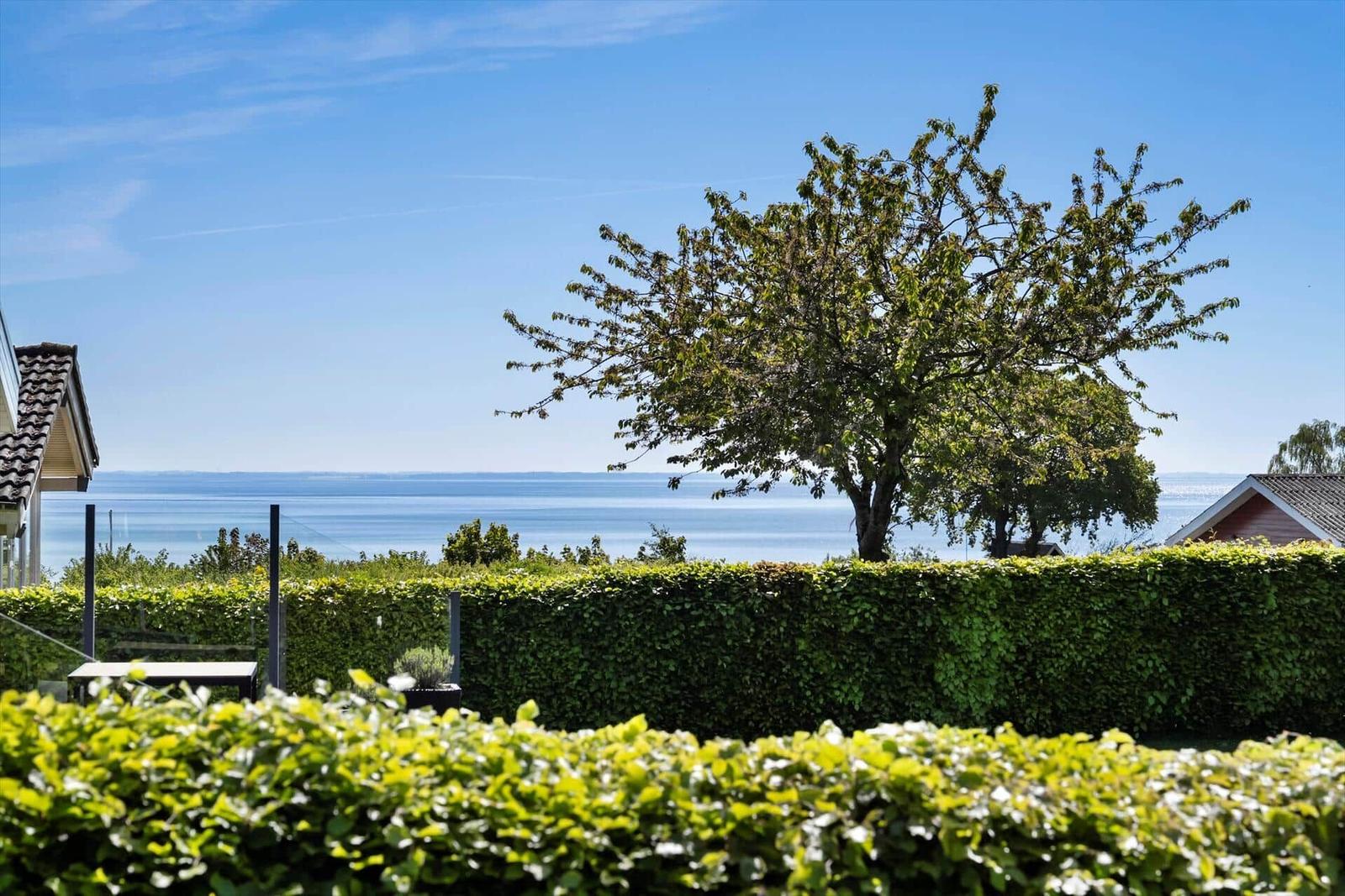 Garden with hedge and tree offers view of sea under blue sky.