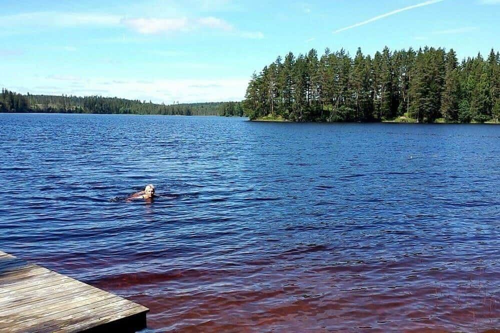 Ein Mensch schwimmt im See. Im Hintergrund sind Bäume und ein hölzerner Steg sichtbar.