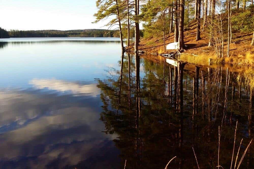 Stiller See mit Bäumen am Ufer und Spiegelung im Wasser.