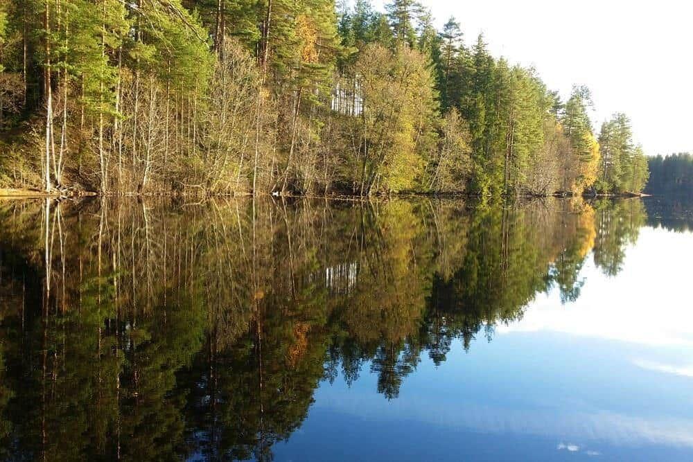 Stiller See mit Waldspiegelung im Herbstlicht
