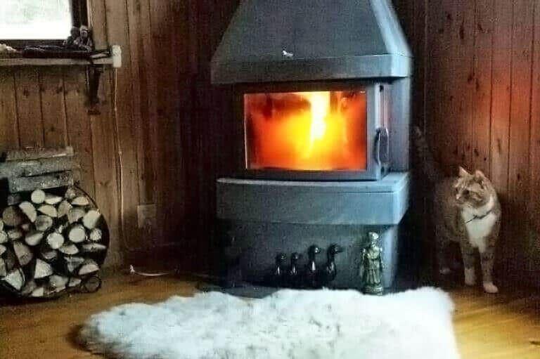 Holzofen mit brennendem Feuer, daneben steht eine Katze und ein Kaminholzstapel.