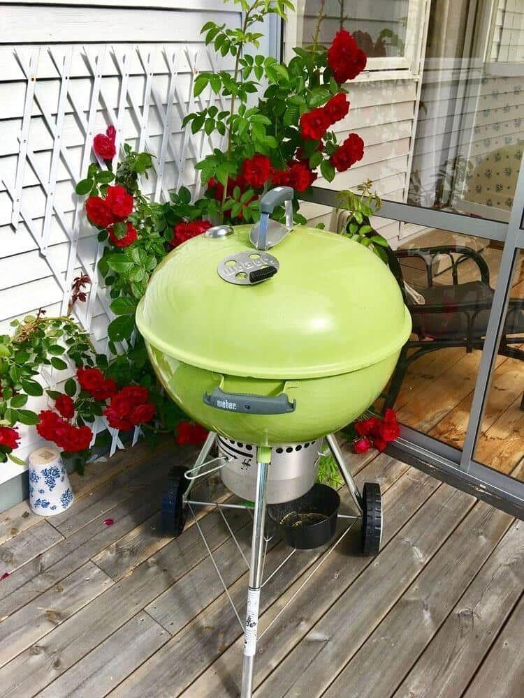 Grüner Grill auf Holzterrasse mit roten Rosen und Gitterwand im Hintergrund.