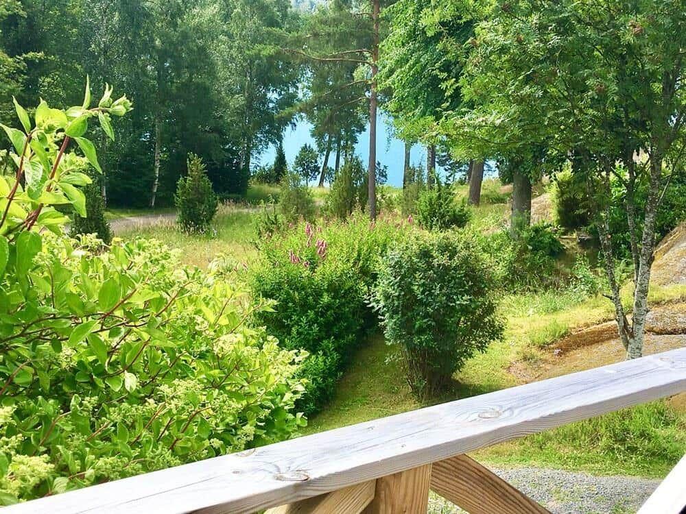 Grün bewachsener Garten mit Wald und Blick auf See