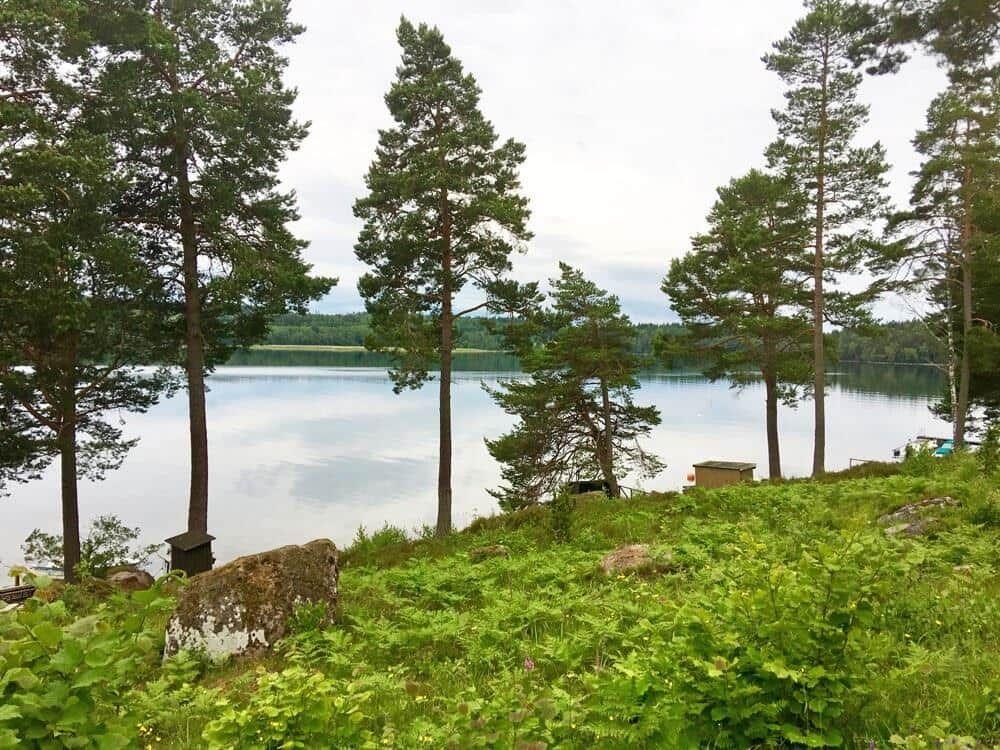 Lakeside with tall pine trees and green vegetation. A wooden structure is visible near the water.
