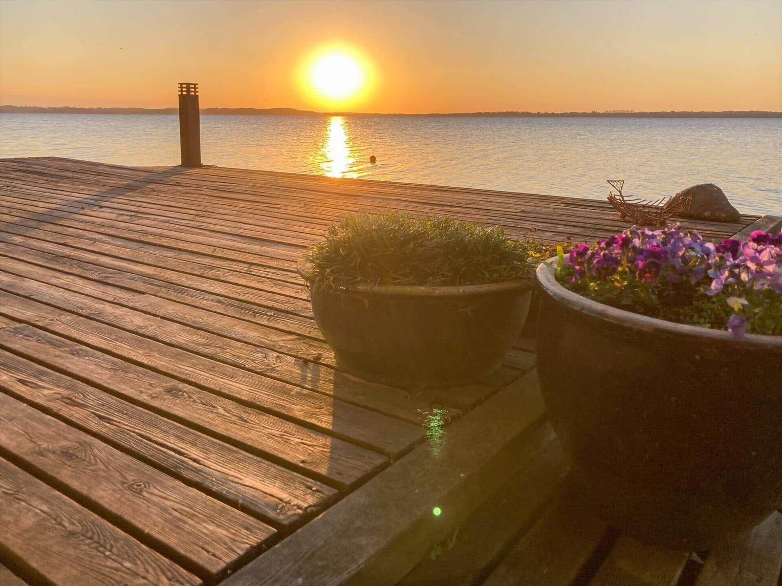 Holzterrasse mit Pflanzen und Blick auf Sonnenuntergang über See
