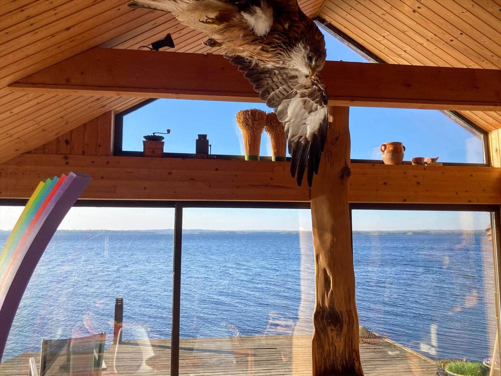 Ein Vogel fliegt im Inneren eines Holzhauses mit Blick aufs Wasser.