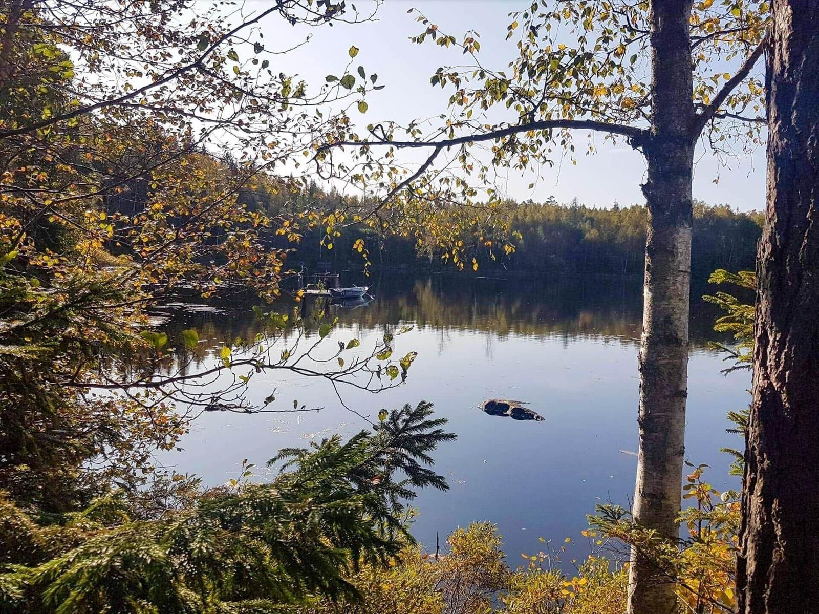 Ein ruhiger See mit Boot und Holzsteg, umgeben von Bäumen im Herbst.