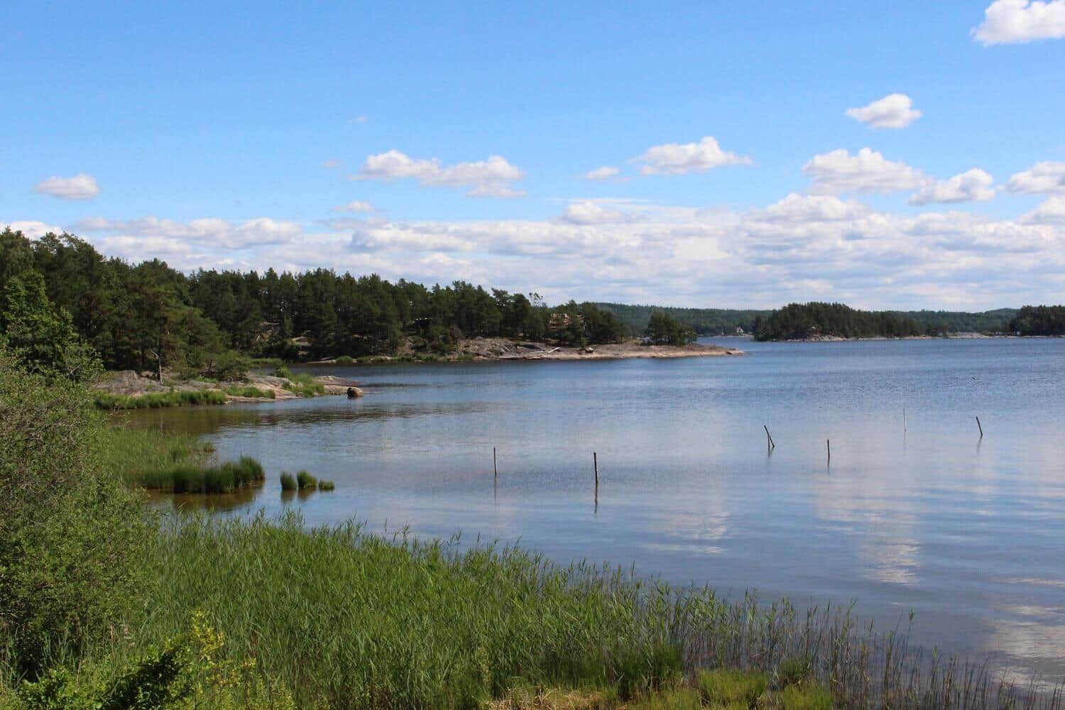 Seeufer mit Gras, Bäumen und Holzpfählen im Wasser unter blauem Himmel.