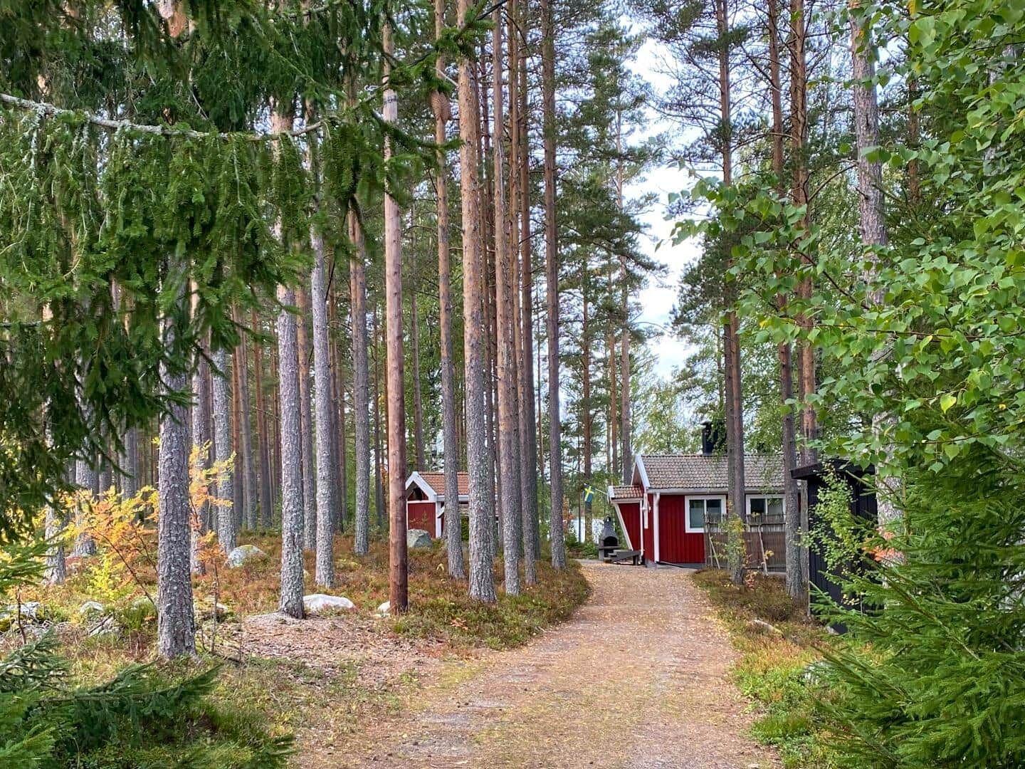 Waldweg führt zu einem roten Holzhaus mit Grill und kleinem Garten.