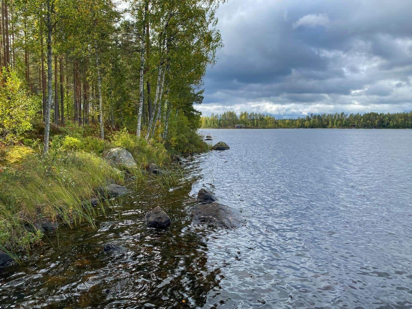 Seeufer mit Bäumen und Steinen unter bewölktem Himmel