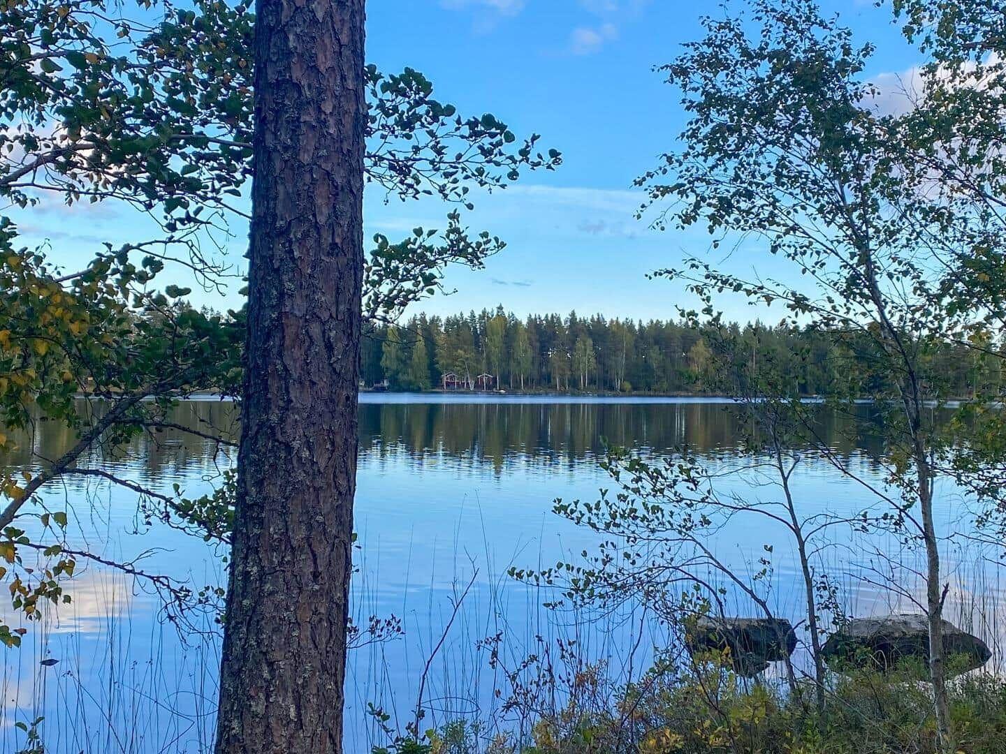 Ein ruhiger See mit Bäumen am Ufer und einem Wald im Hintergrund.