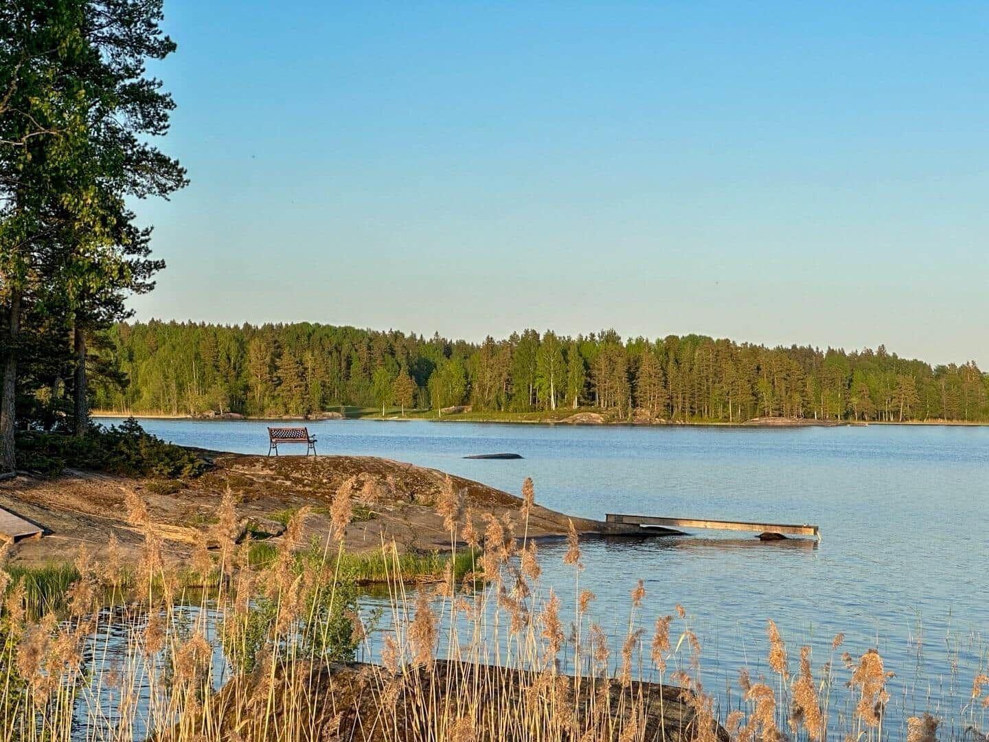 Ein Holzsteg führt zu einem Seeufer mit Bank und Wald im Hintergrund.