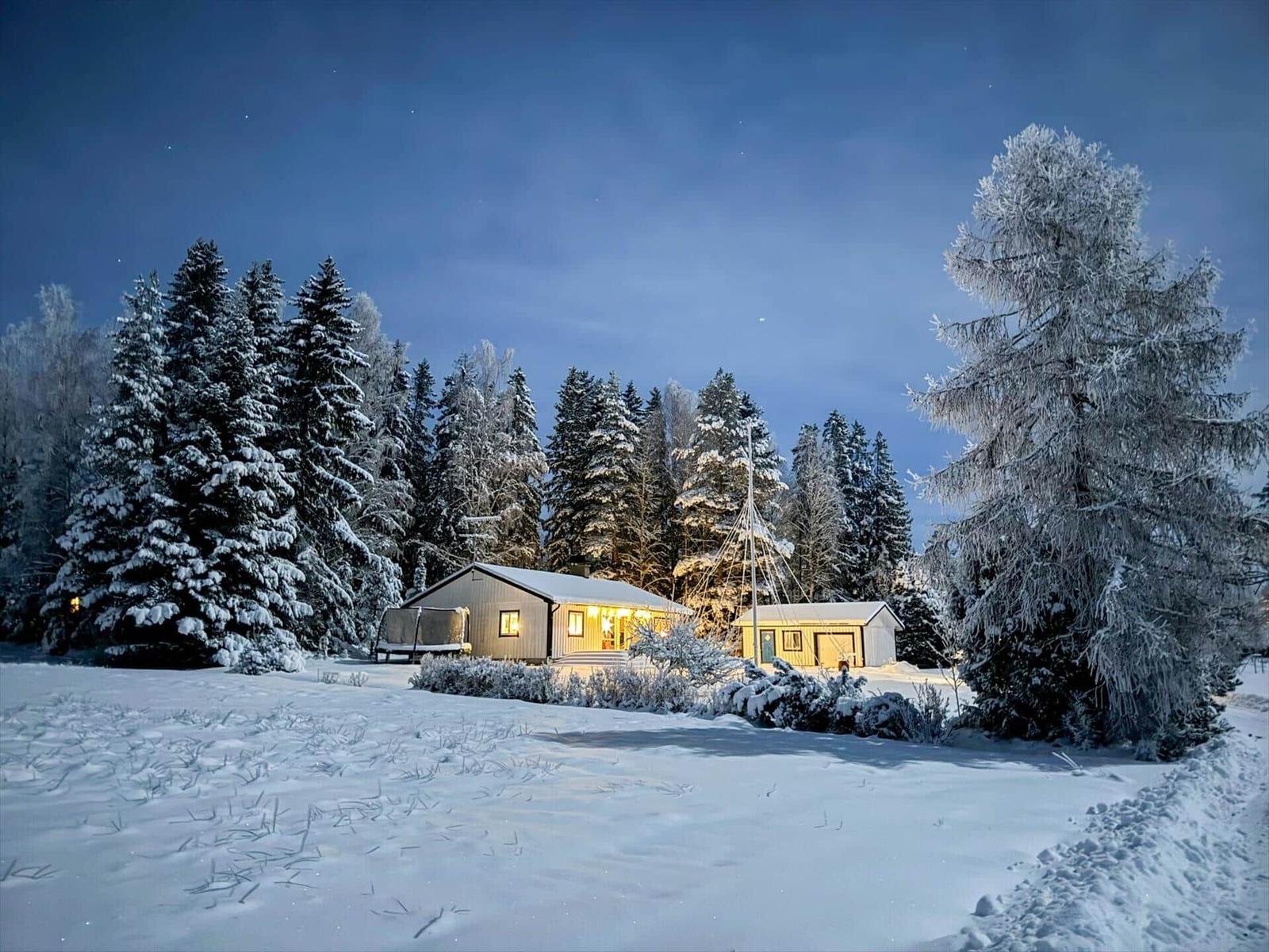 Wohnhaus mit Schneebedeckten Bäumen und Sternenhimmel