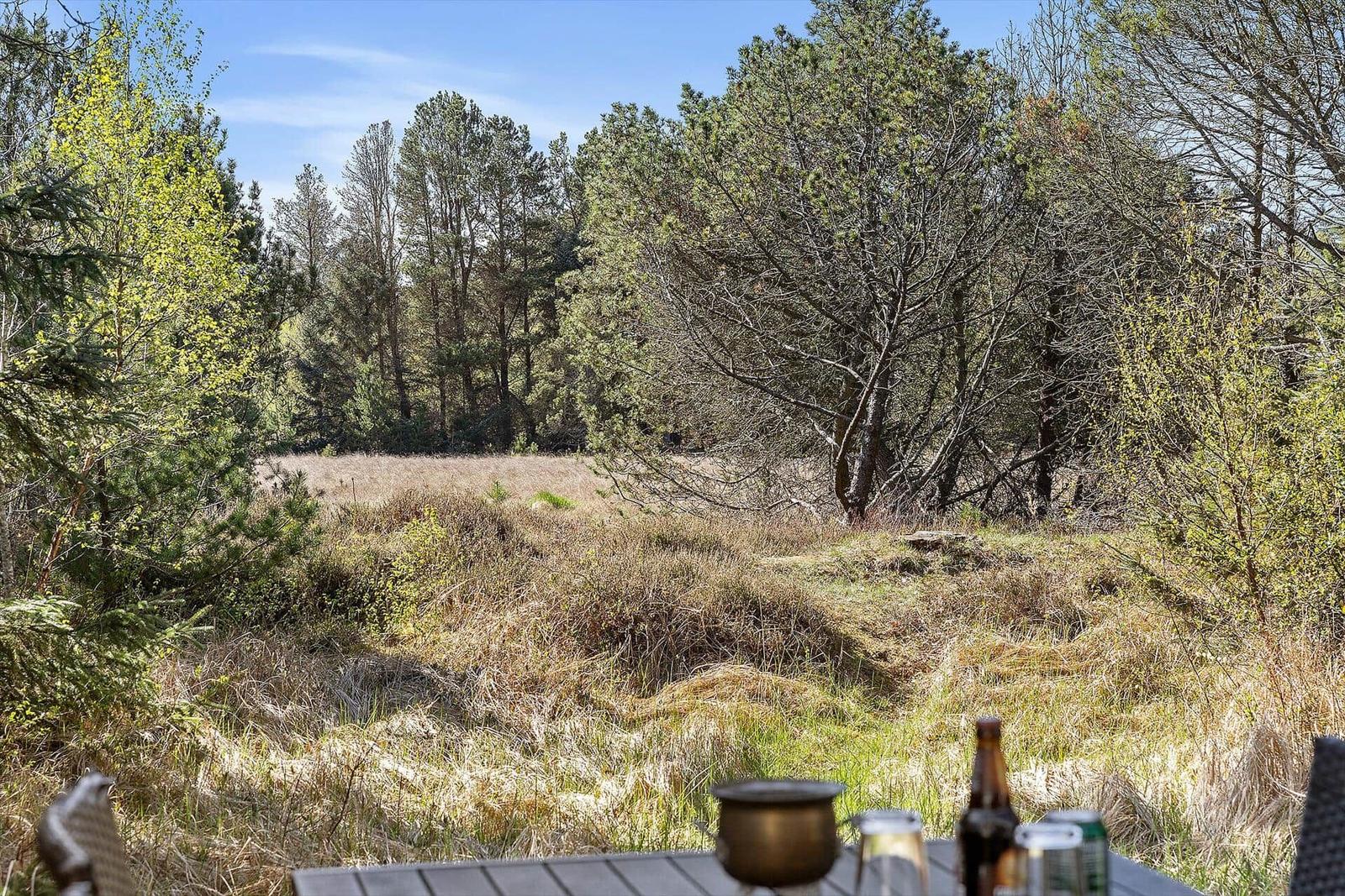 Außenbereich mit Tisch, Blick auf Wald und Wiese.