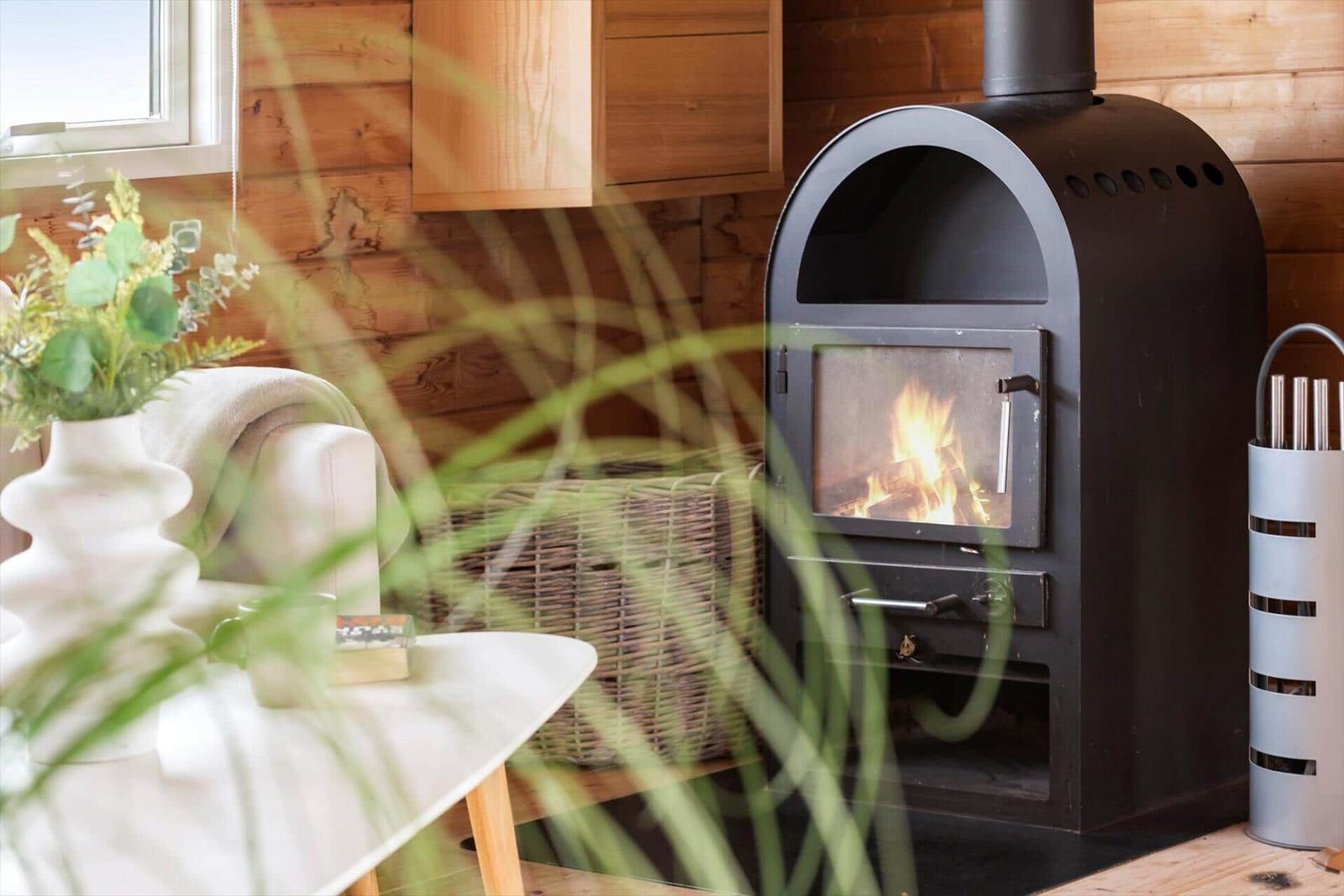 Wood-burning stove, white sofa, plants, and wooden wall in the room.