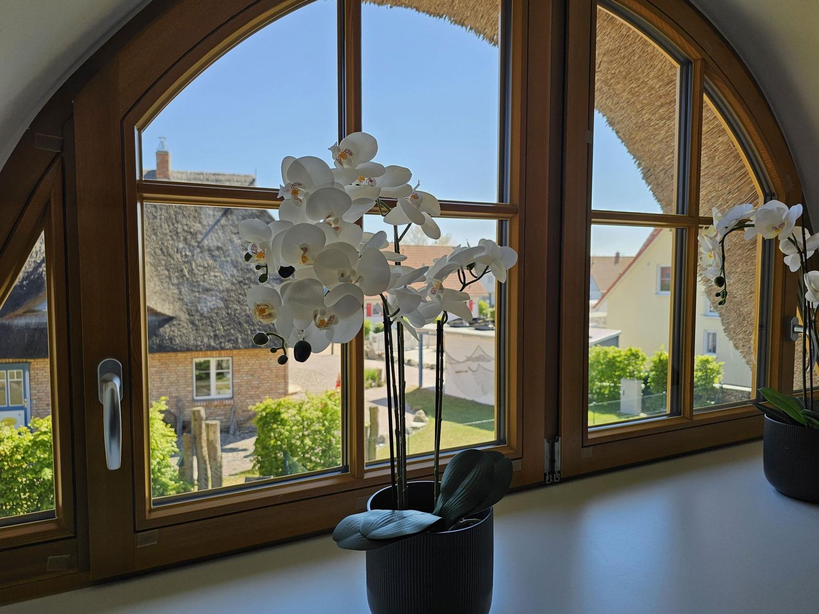 Großes Fenster mit Blick auf Dach und Garten. Weiße Orchidee auf Fensterbank.