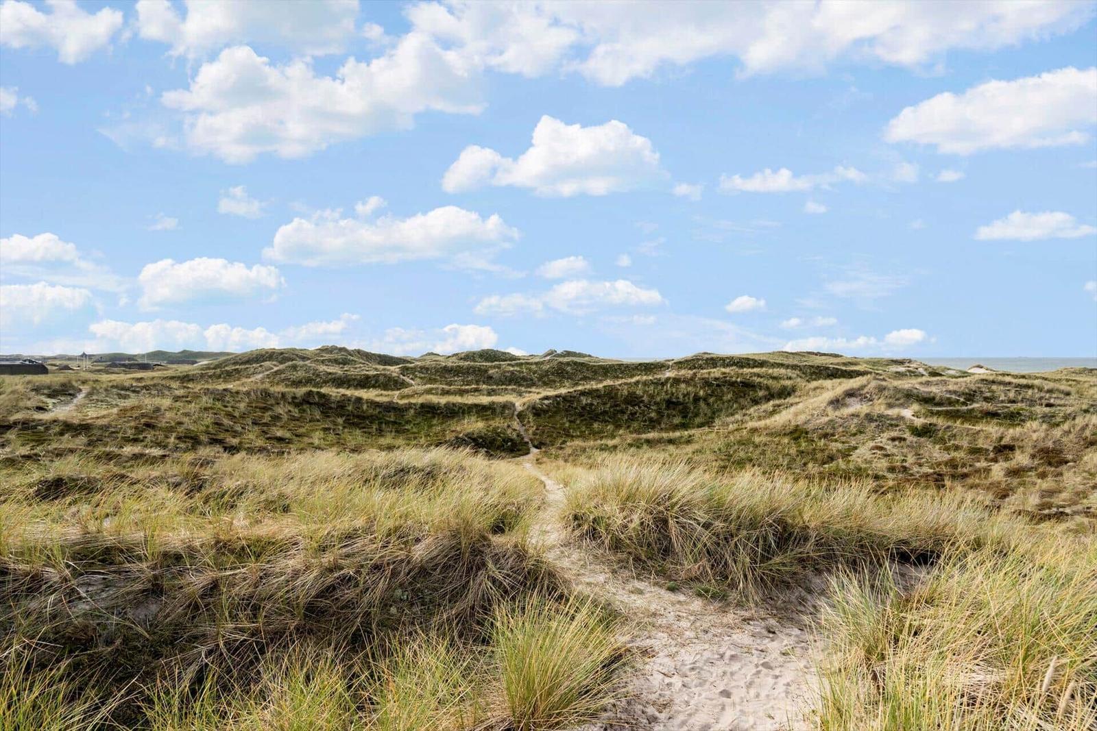 Weg durch Dünenlandschaft unter blauem Himmel mit weißen Wolken.