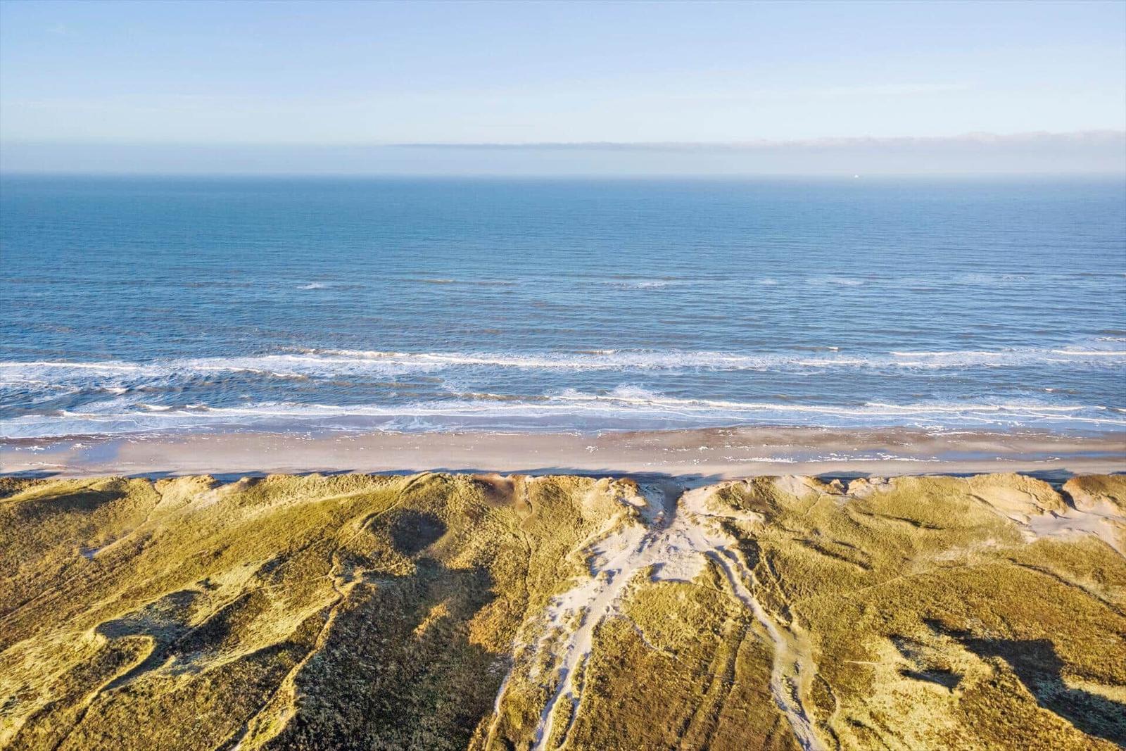 Ausblick auf Strand und Meer von einer Dünenlandschaft aus.