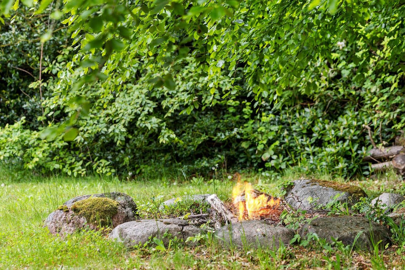 Feuerplatz im Grünen mit Steinring und Bäumen im Hintergrund.