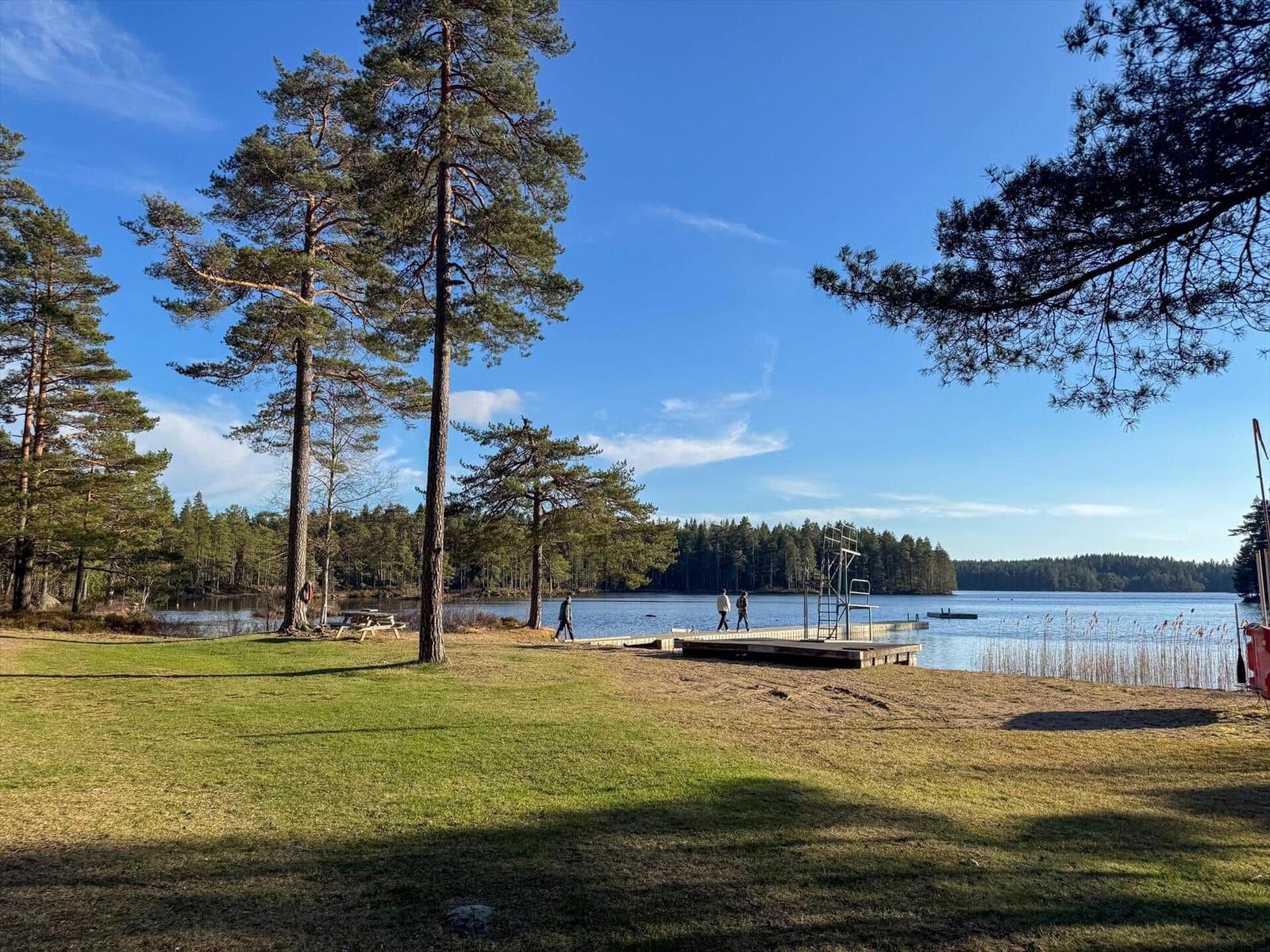 Seeufer mit Holzsteg, Picknicktisch und hohen Tannenbäumen unter blauem Himmel.