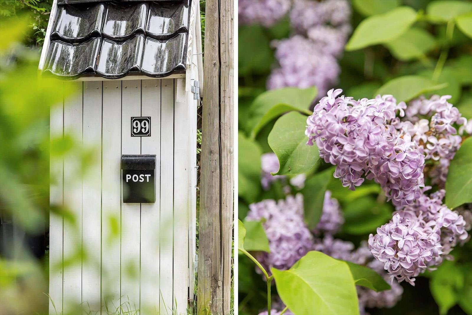 Mailbox numbered 99 with purple flowers in the background.