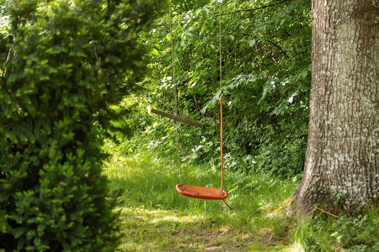 Red swing hangs between trees in the green.