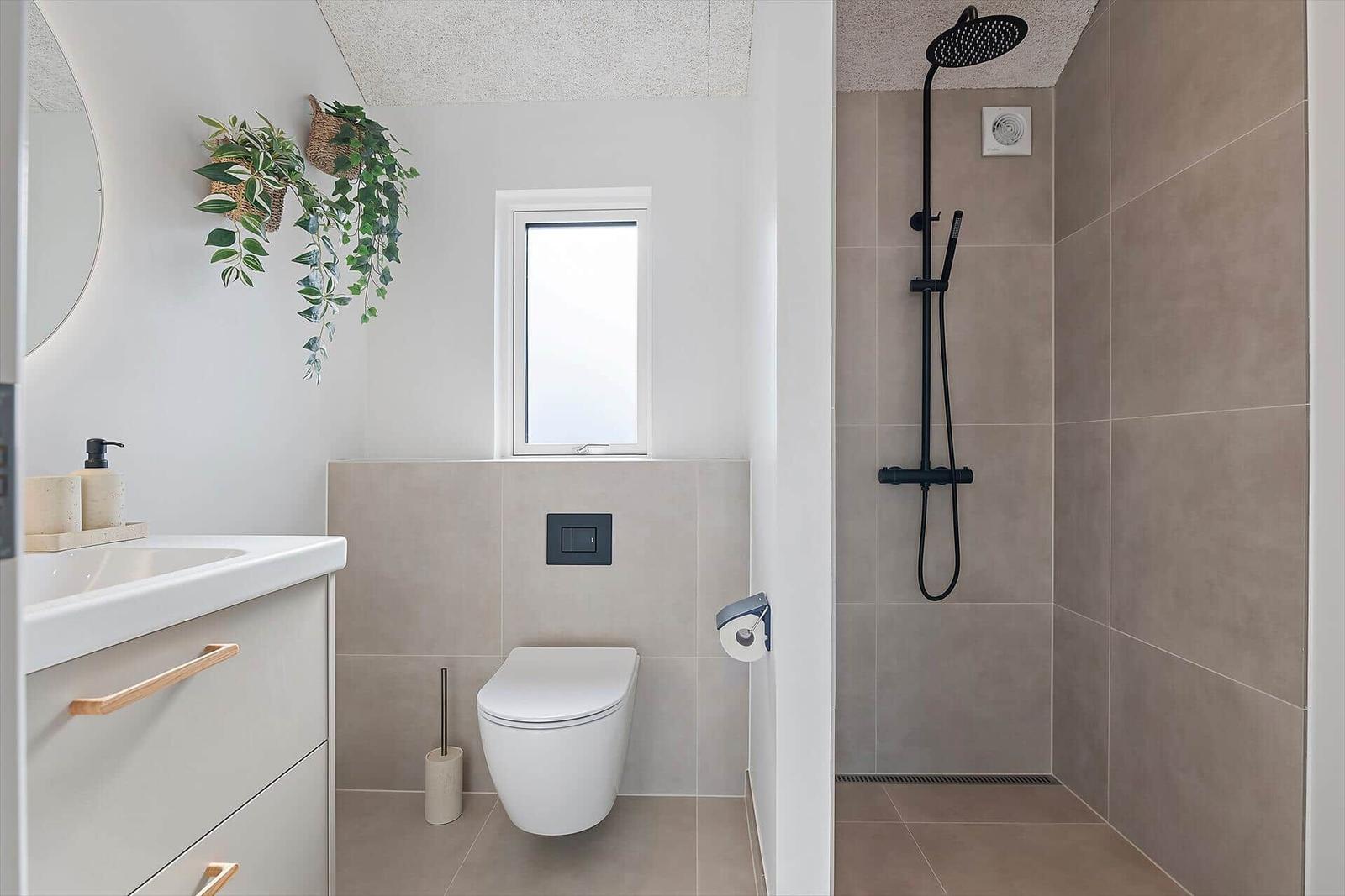 Bathroom with shower, toilet, and sink with plant.