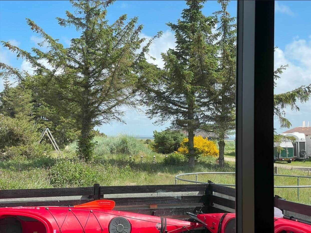 Roter Kajak im Vordergrund, Blick auf Bäume und Grasland.
