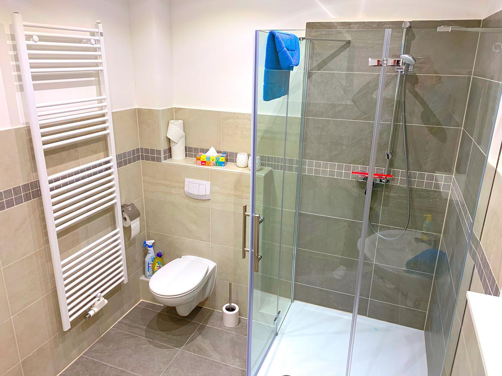 Badezimmer mit Dusche, Toilette und Heizkörper.