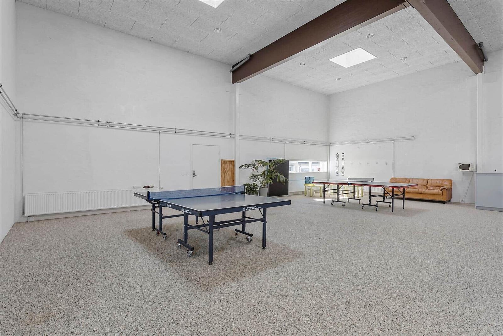 Large room with two ping pong tables, sofa, and plant.
