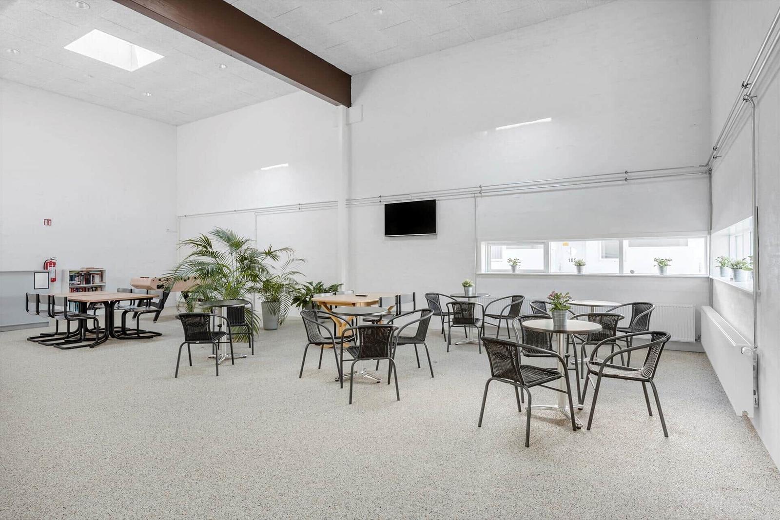 Large room with tables, chairs, and plants. Windows and ceiling lights provide illumination.